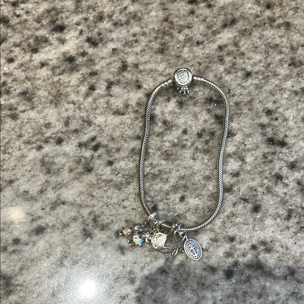 Pandora Sterling Silver 925 snake chain Charm Bracelet + 5 charms